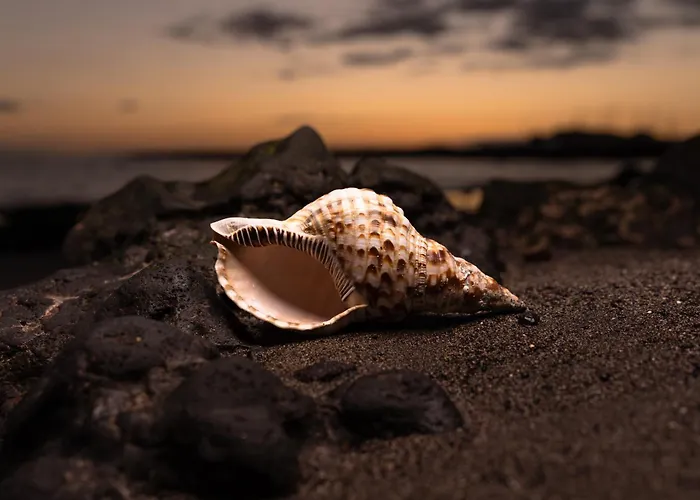 אכסניה Bucio Coliving *