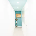 Vandrarhem Bucio Coliving