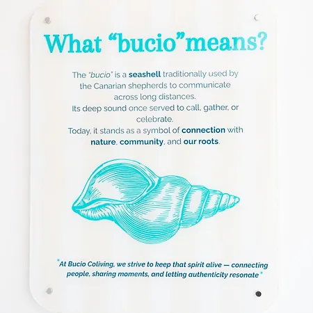 旅馆 Bucio Coliving