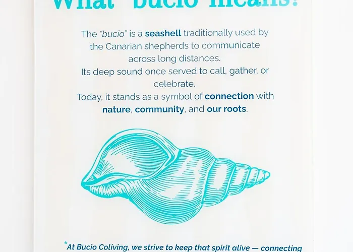 Auberge de jeunesse Bucio Coliving